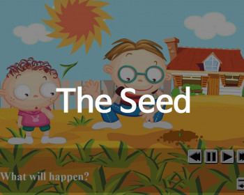 [플래시] The seed