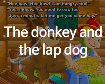 [플래시] The donkey and the lap dog